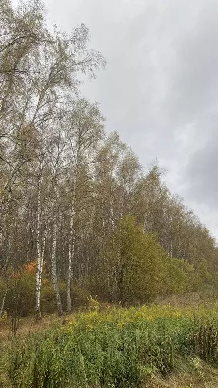 Участок в Московская область, Чехов городской округ, д. Слепушкино  ... - Фото 0