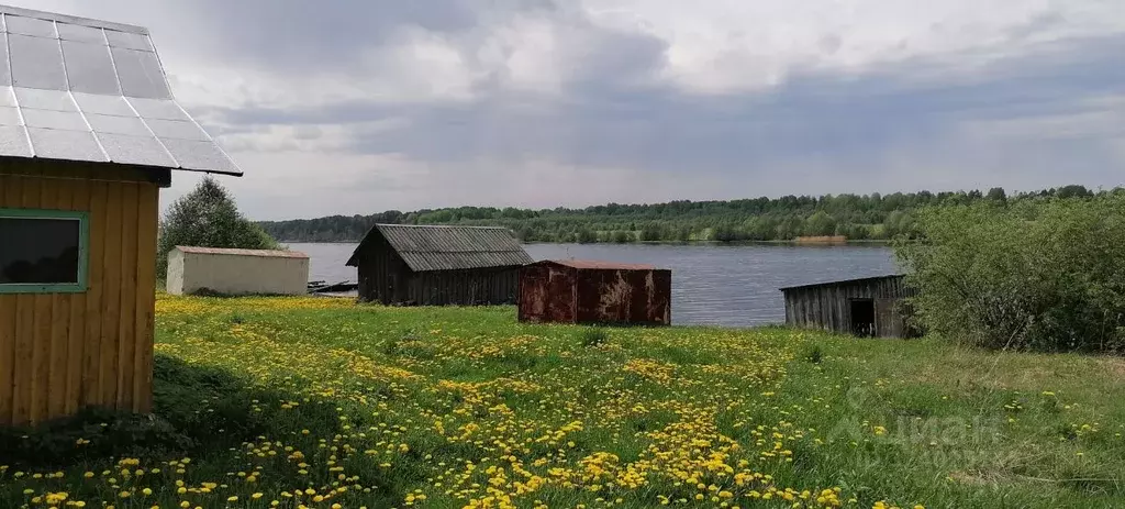 Участок в Вологодская область, Шекснинский муниципальный округ, д. ... - Фото 1