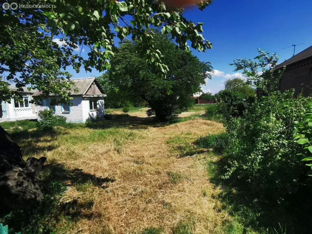 Участок в хутор Ленина, улица Платова, 8 (15 м) - Фото 0