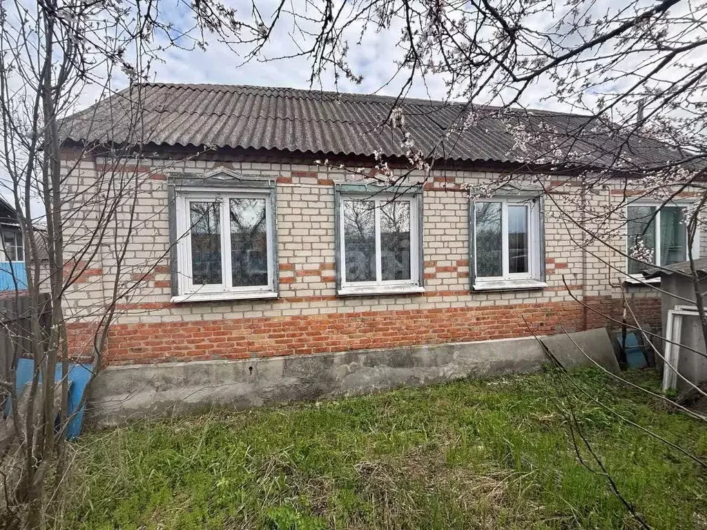 Дом в Белгородская область, Валуйки ул. Ворошилова, 46 (78 м) - Фото 1