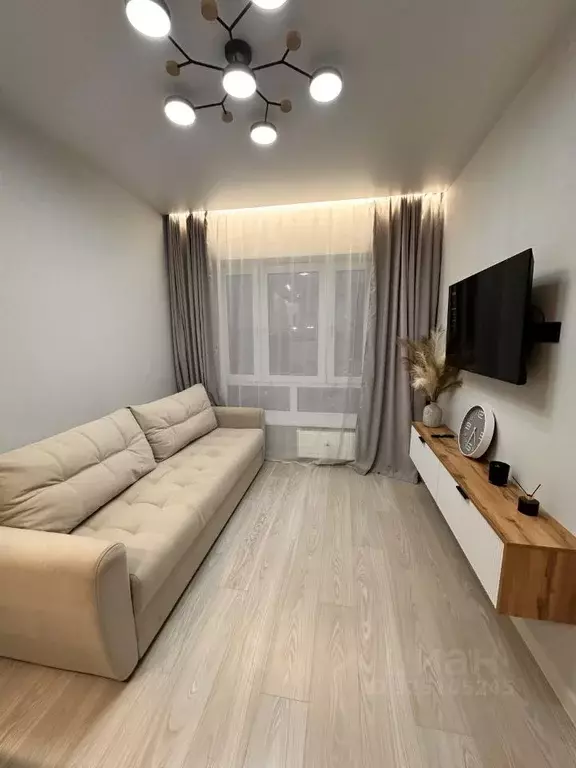 1-к кв. Псковская область, Псковский район, Завеличенская волость, д. ... - Фото 2