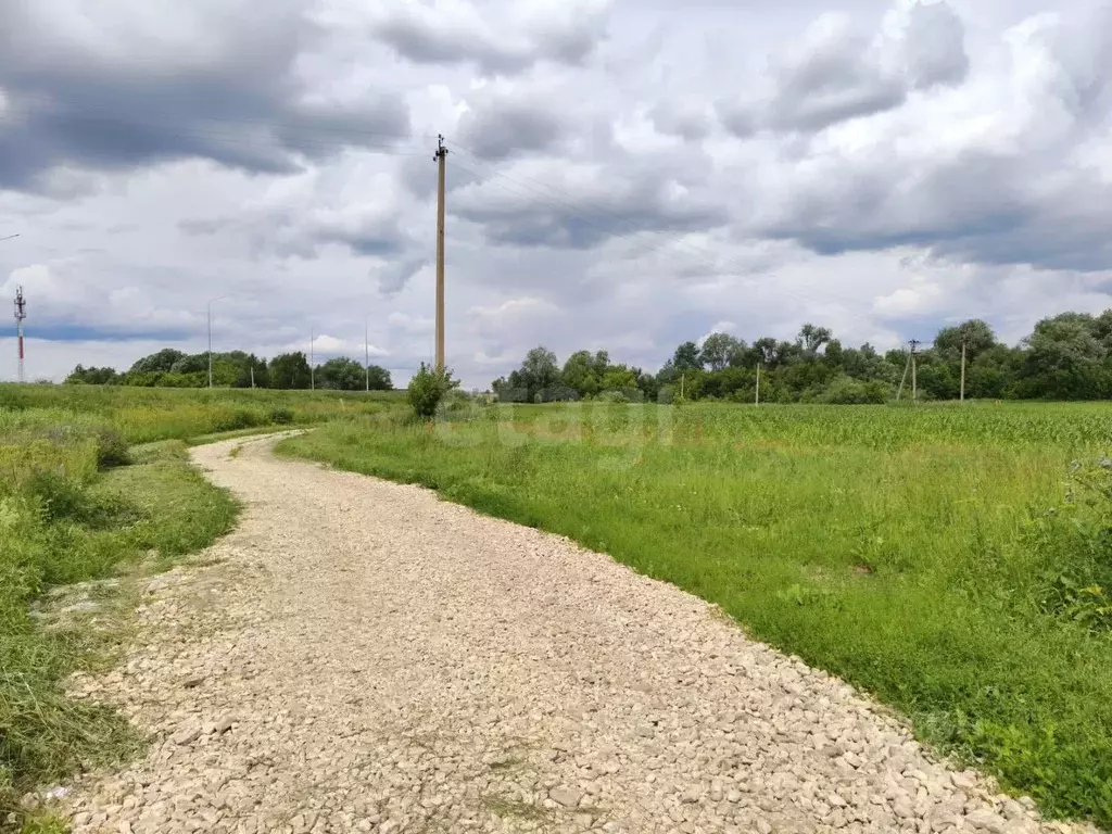 Участок в Марий Эл, Йошкар-Ола городской округ, д. Якимово ул. ... - Фото 1