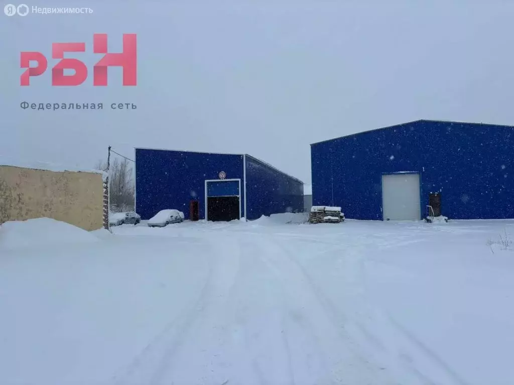 Помещение свободного назначения (576 м) - Фото 2