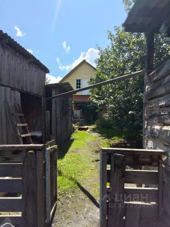 Дом в Алтай, Чемальский район, с. Чемал  (54 м) - Фото 2
