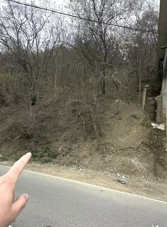 Участок в Крым, Ялта муниципальный округ, Восход пгт ш. ... - Фото 0