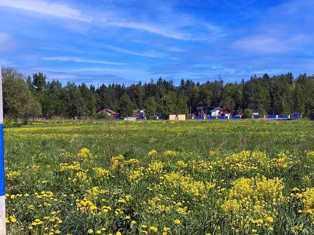Участок в Московская область, Клин городской округ, Коськово кп 97 ... - Фото 1