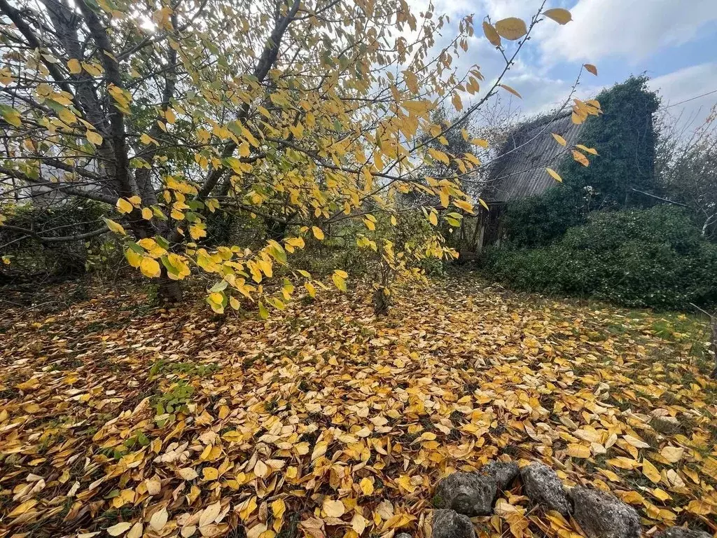 Участок в Севастополь Икар-2 садоводческое товарищество, 155 (4.4 ... - Фото 1