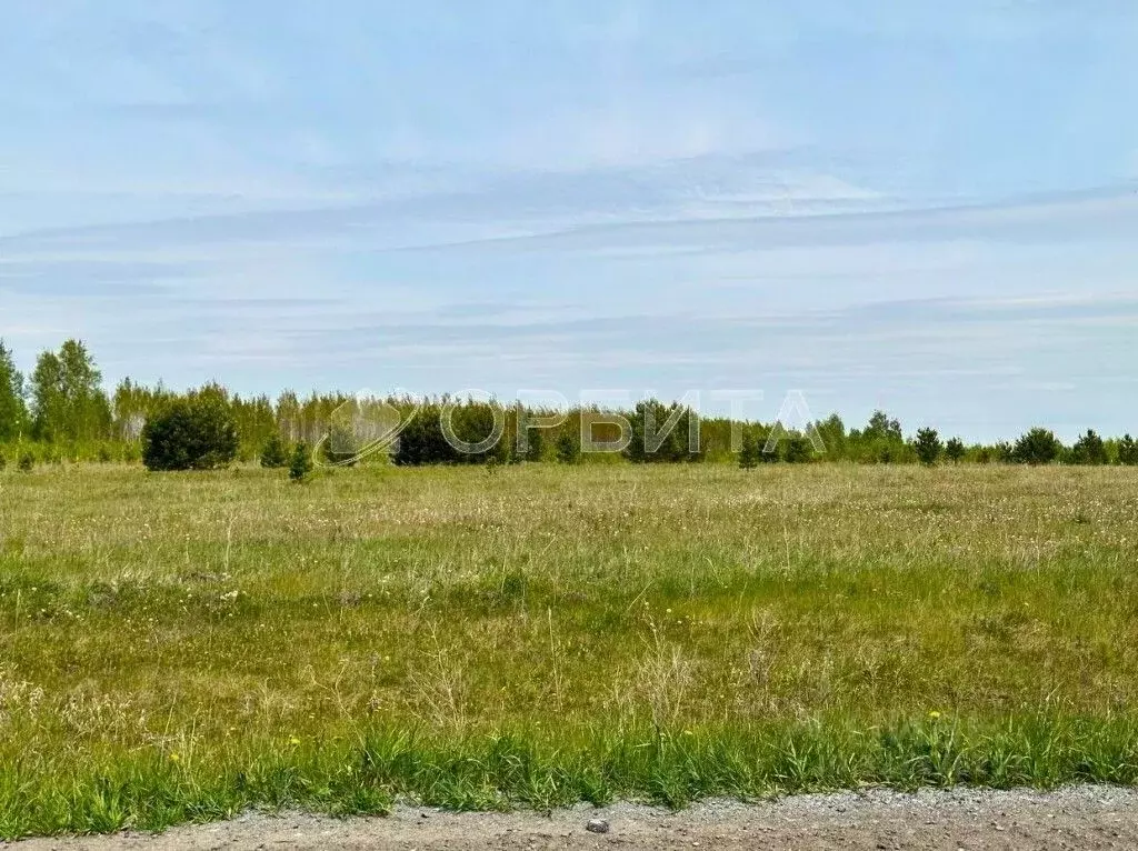 Участок в Курганская область, Шадринский муниципальный округ, д. ... - Фото 0