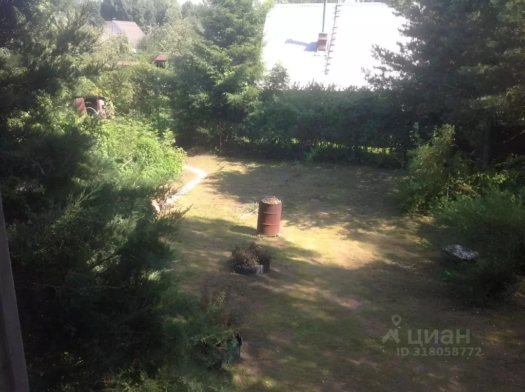 Участок в Московская область, Клин городской округ, Березино СНТ 37 ... - Фото 0