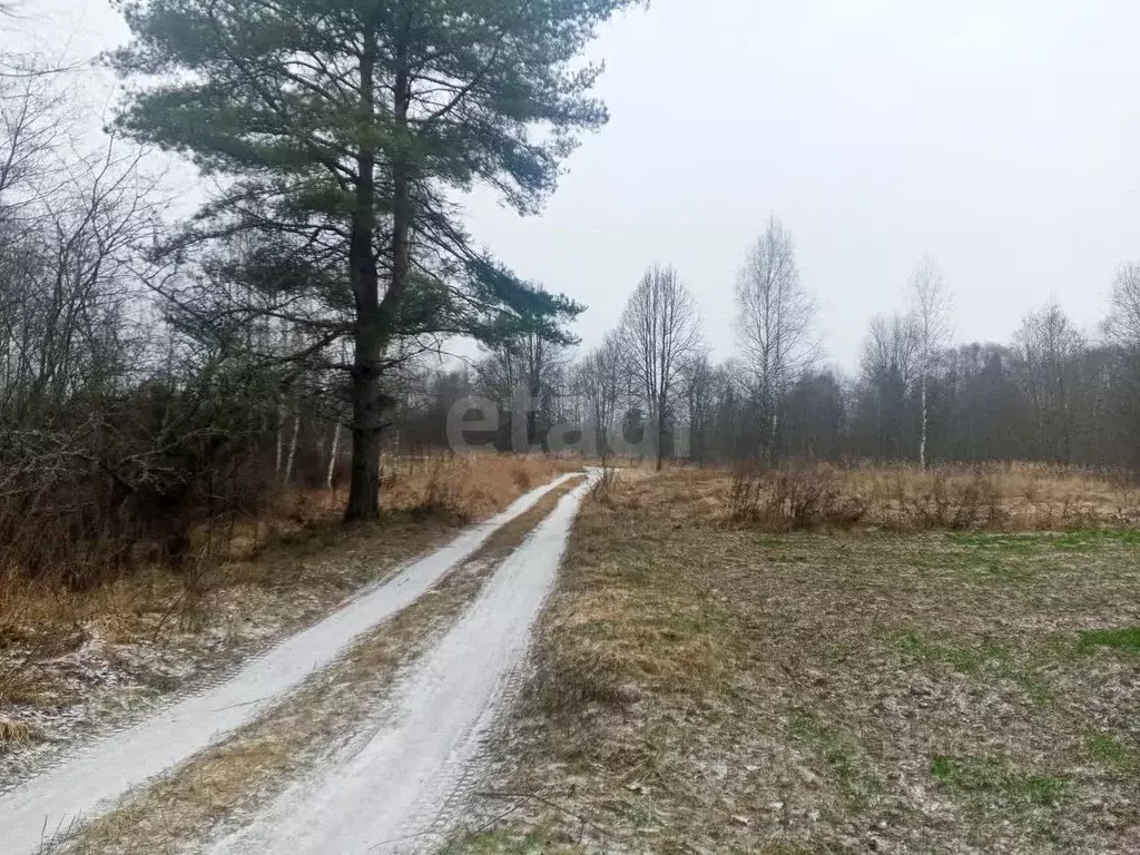 Дом в Псковская область, Опочецкий муниципальный округ, д. Роги 1 (42 ... - Фото 1