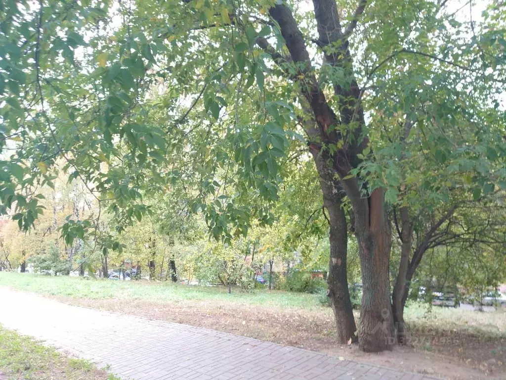 2-к кв. Московская область, Дзержинский Лесная ул., 12 (43.5 м) - Фото 2