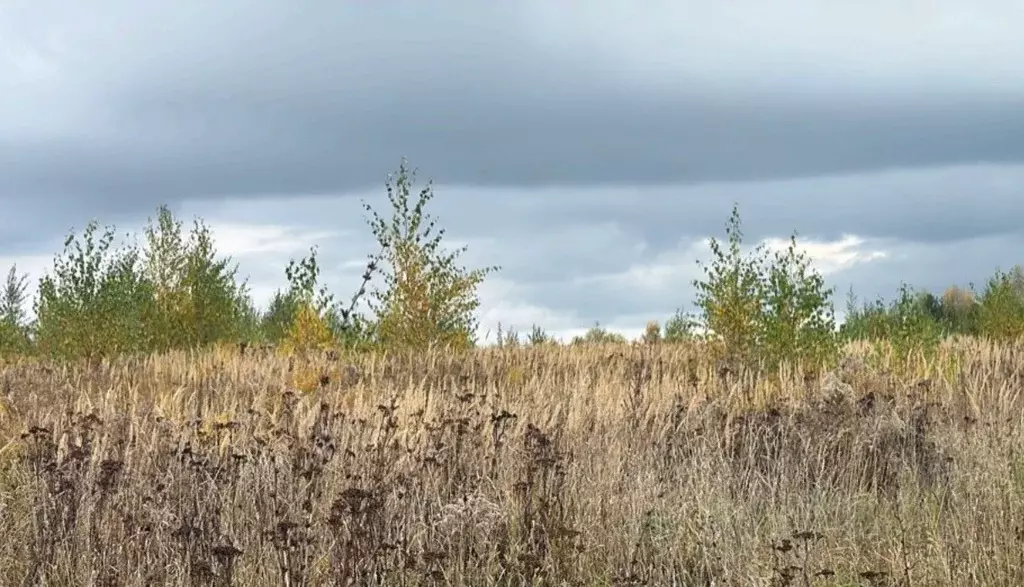 Участок в Московская область, Кашира городской округ, д. Колтово  ... - Фото 1