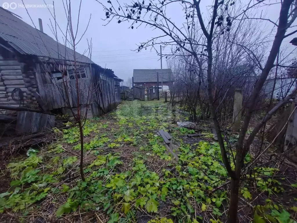 Дом в Пермский край, Чернушинский муниципальный округ, деревня Большой ... - Фото 2