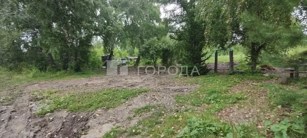 Участок в Алтайский край, Новоалтайск пос. Новогорский, ул. Строителей ... - Фото 0