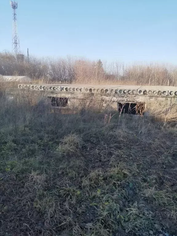 Участок в Новосибирская область, Мошковский район, ... - Фото 1