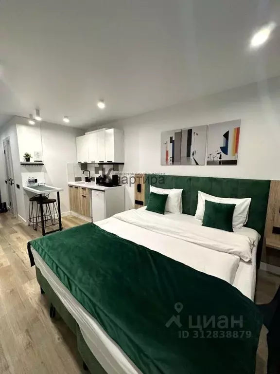 Студия Смоленская область, Смоленск проезд Маршала Конева, 32 (22.75 ... - Фото 1