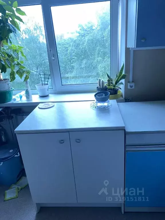 Комната Санкт-Петербург просп. Энгельса, 55 (12.0 м) - Фото 2