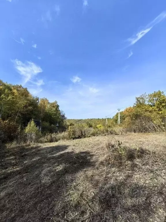 Участок в Амурская область, Благовещенск Игнатьевское ш. (11.3 сот.) - Фото 1