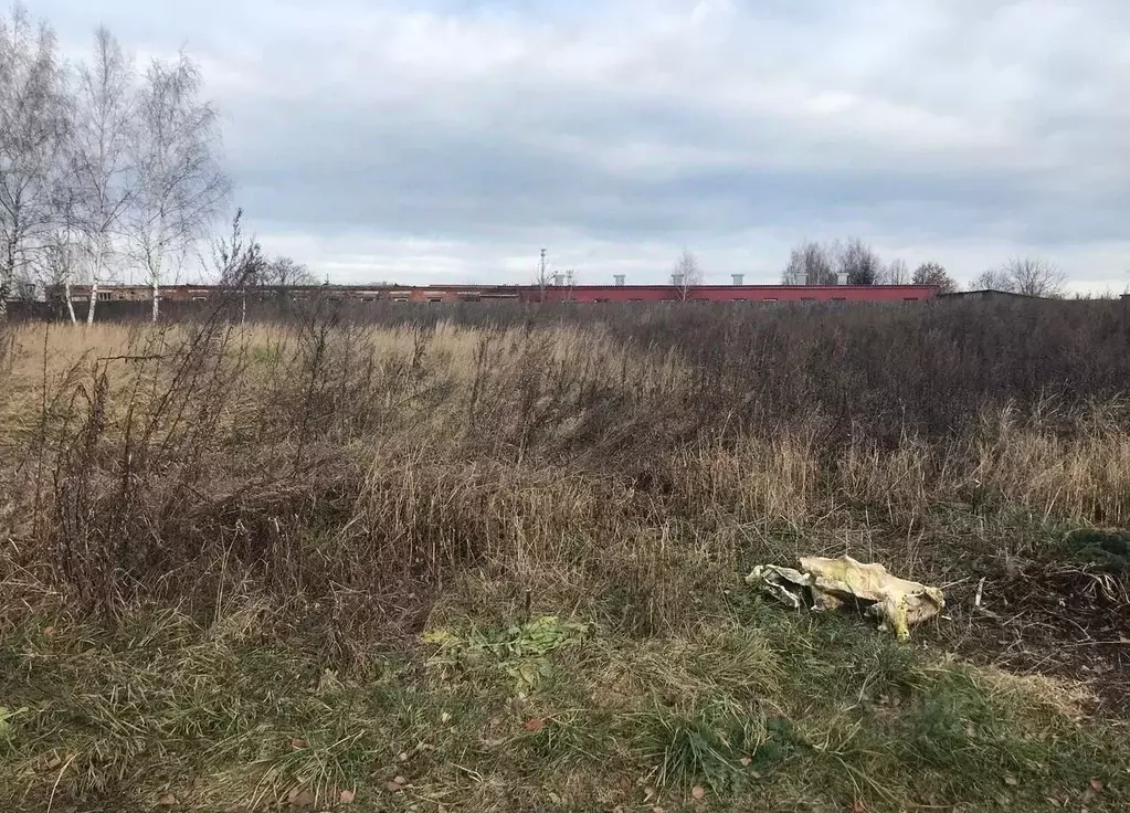 Участок в Московская область, Воскресенск городской округ, с. Фаустово ... - Фото 1
