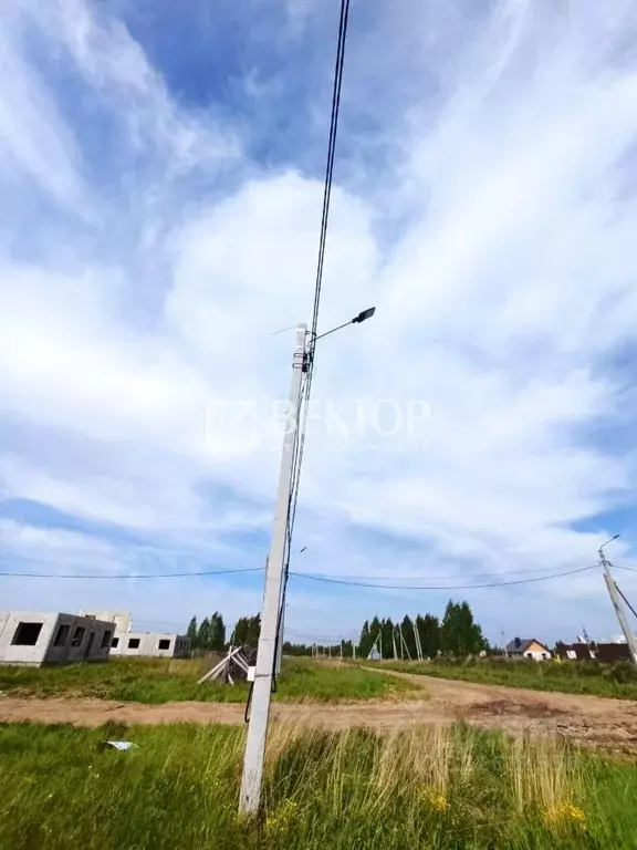 Участок в Костромская область, Кострома Первый кп, проезд Павинский, 1 ... - Фото 2