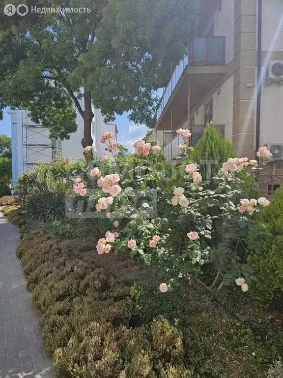 Квартира-студия: Севастополь, улица Челюскинцев, 49 (20.1 м) - Фото 1