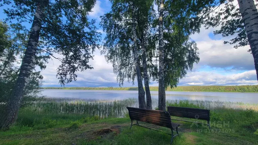 Участок в Ленинградская область, Выборгский район, Приморское ... - Фото 1