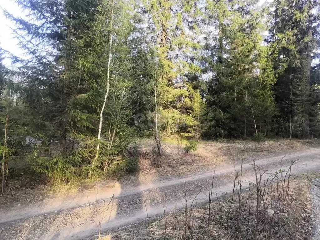 Участок в Свердловская область, Нижний Тагил городской округ, пос. ... - Фото 0