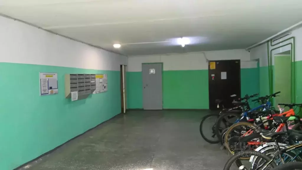 Студия Алтайский край, Барнаул ул. Малахова, 173 (14.1 м) - Фото 2