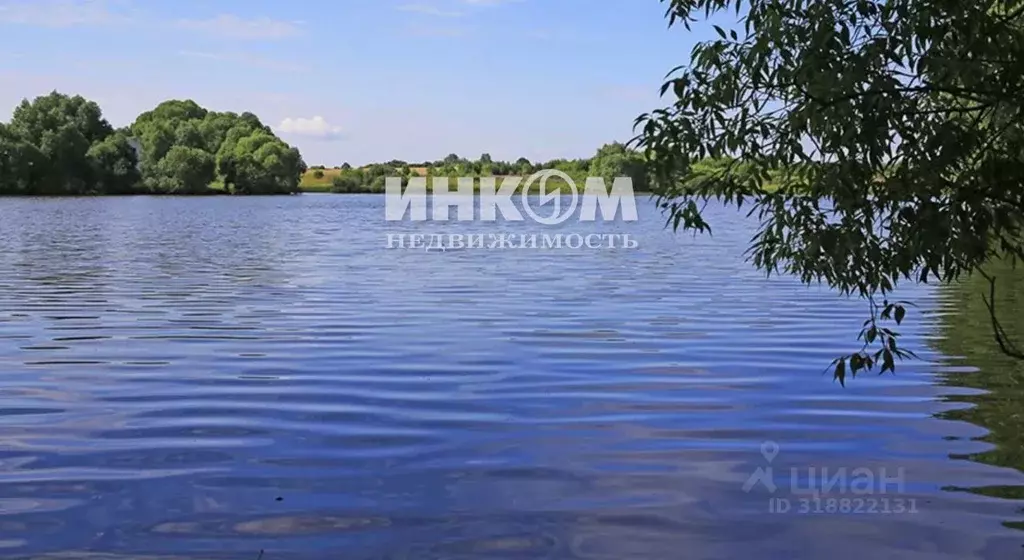 Участок в Владимирская область, Суздальский район, Павловское ... - Фото 1