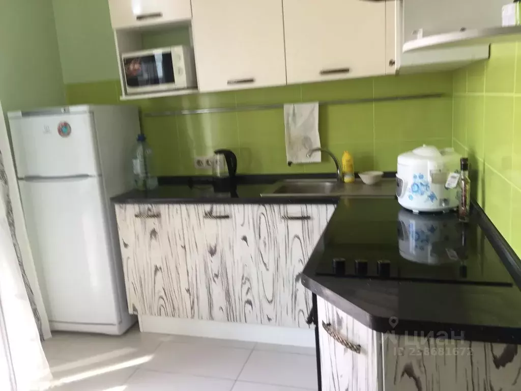 1-к кв. Новосибирская область, Новосибирск ул. Романова, 25 (45.0 м) - Фото 0