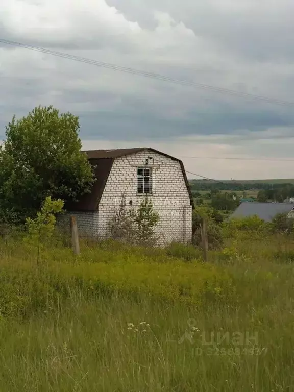 Дом в Нижегородская область, Нижний Новгород д. Горный Борок, Раздолье ... - Фото 1