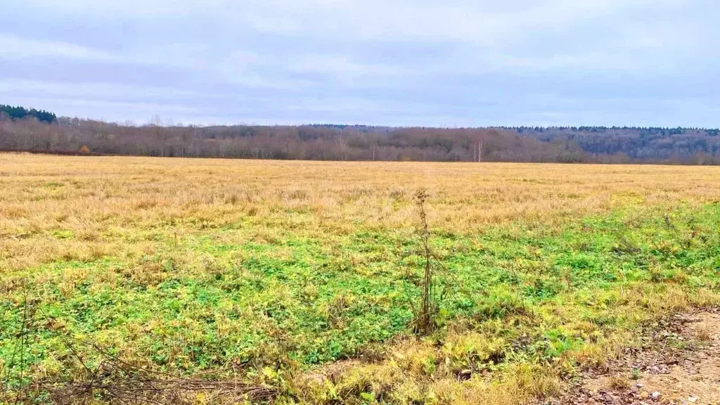 Участок в Смоленская область, Смоленский муниципальный округ, ... - Фото 1