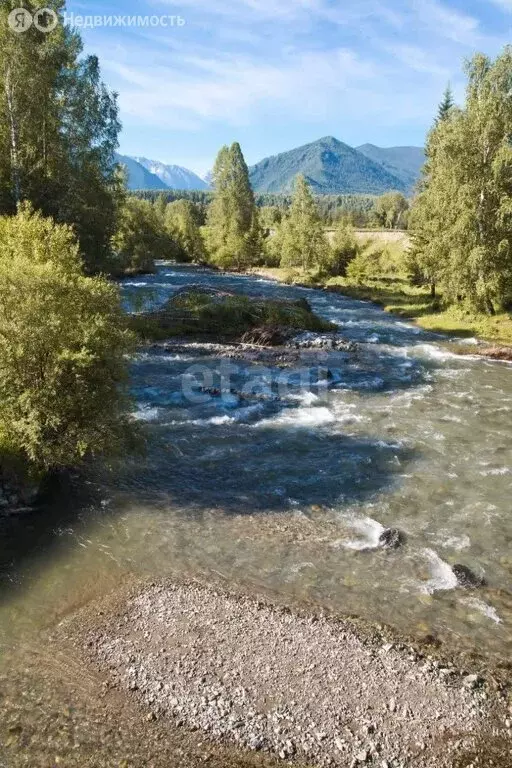 Участок в Усть-Коксинский район, посёлок Кучерла (20 м) - Фото 1