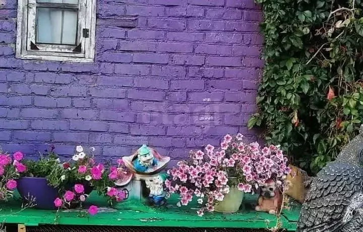 Дом в Омская область, Омский район, Богословское с/пос, Птицевод-3 СНТ ... - Фото 2