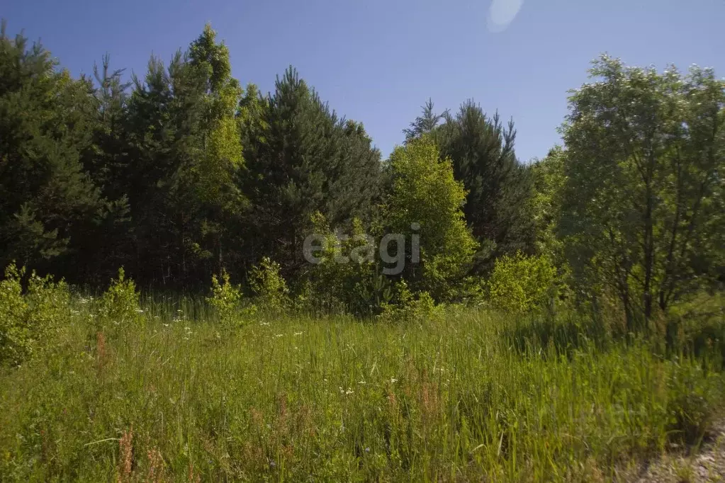 Участок в Калужская область, Малоярославецкий район, Юбилейный с/пос, ... - Фото 2