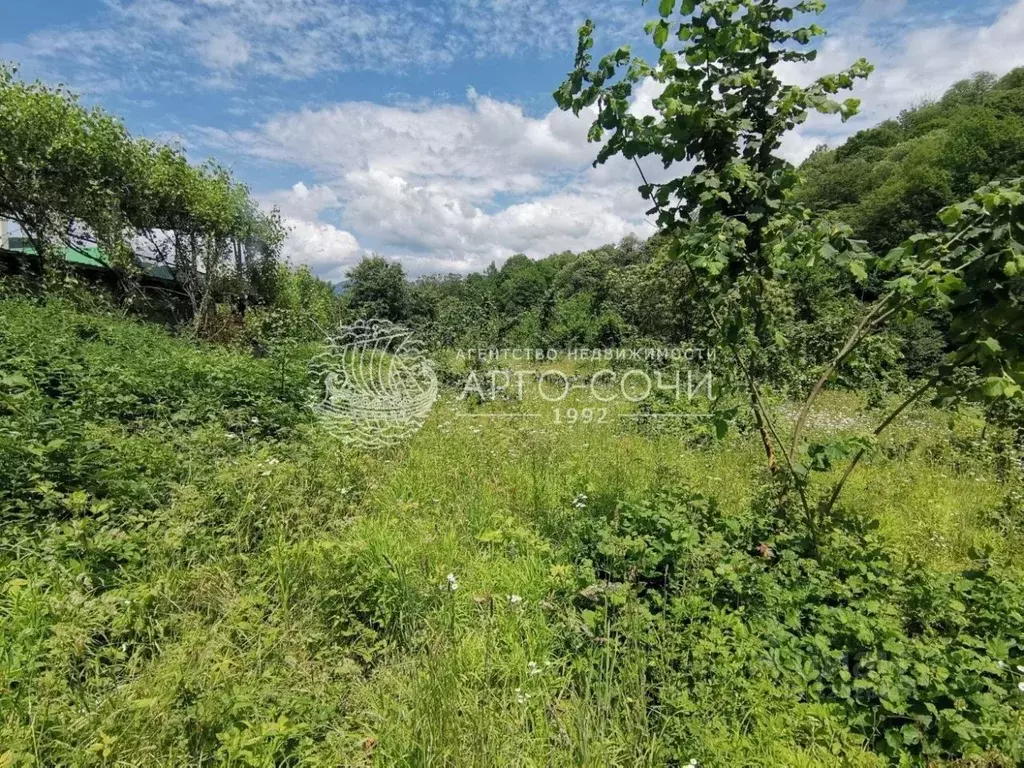 Участок в Краснодарский край, Сочи городской округ, Калеж аул ул. ., Купить  земельный участок Калеж, Краснодарский край, ID объекта - 20002901815