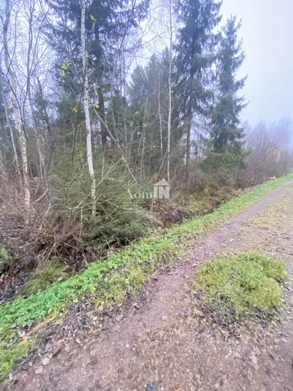 Участок в Ленинградская область, Волховский район, Кисельнинское ... - Фото 0