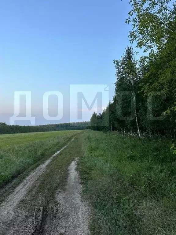 Участок в Свердловская область, Белоярский муниципальный округ, с. ... - Фото 1