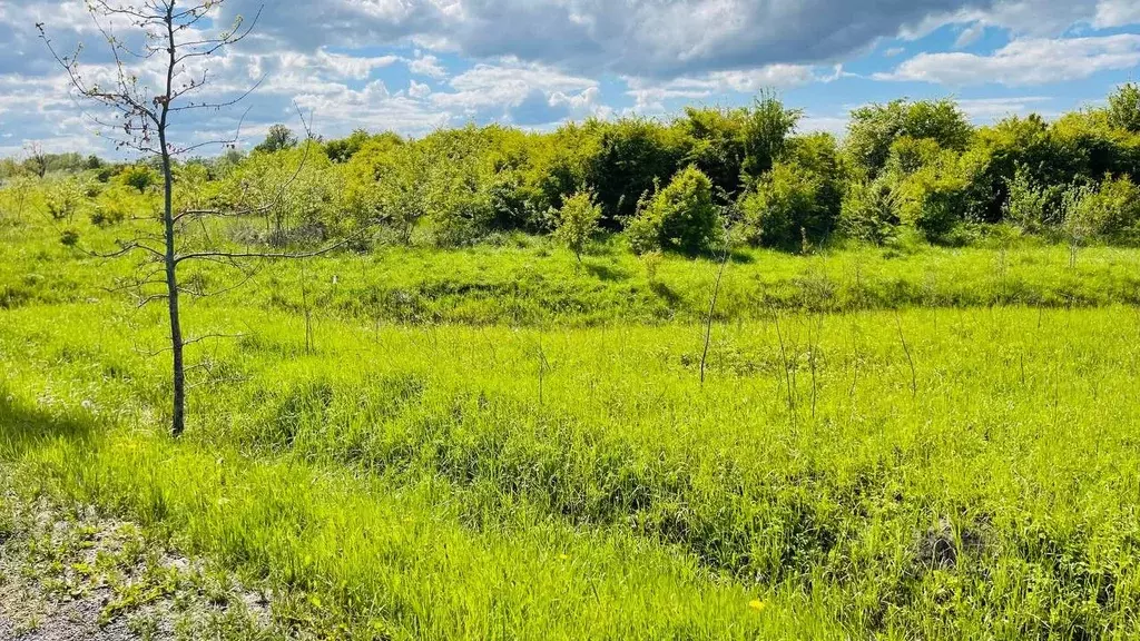 Участок в Калининградская область, Гурьевский муниципальный округ, ... - Фото 2