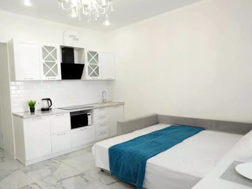 1-к кв. Краснодарский край, Сочи ул. Ленина, 298В/8 (289.0 м) - Фото 2