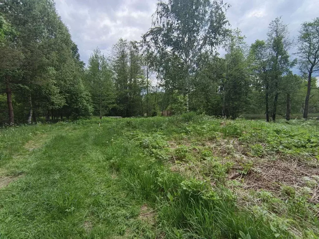 Участок в Ленинградская область, Приозерский район, Мельниковское ... - Фото 2