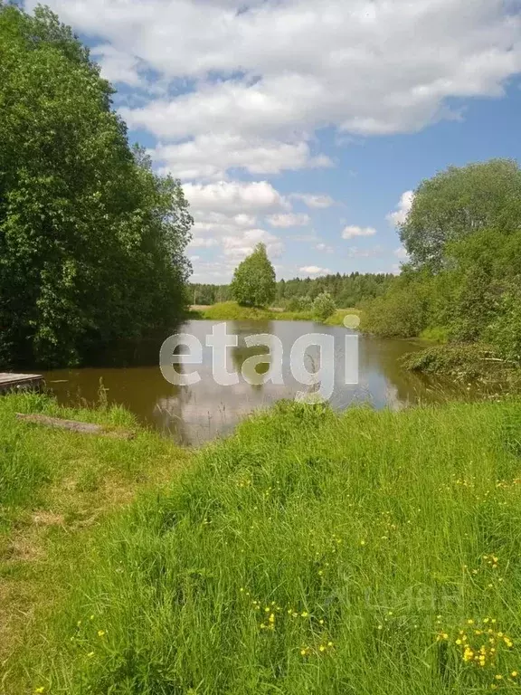 Участок в Вологодская область, Грязовецкий муниципальный округ, ... - Фото 2