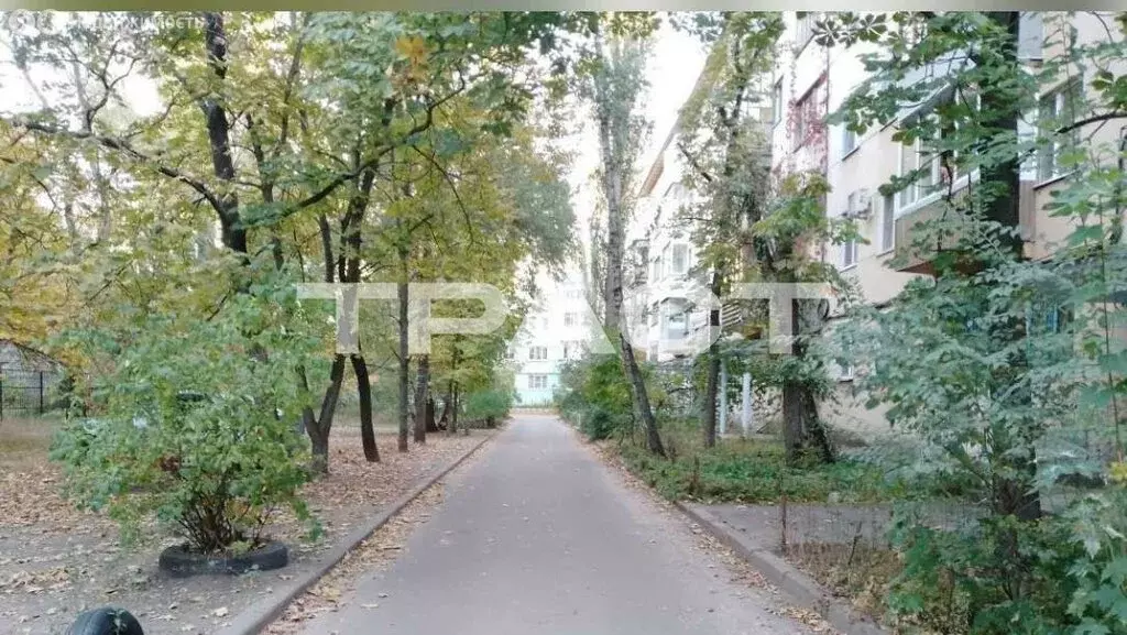 1-комнатная квартира: Воронеж, Минская улица, 25 (29 м) - Фото 2