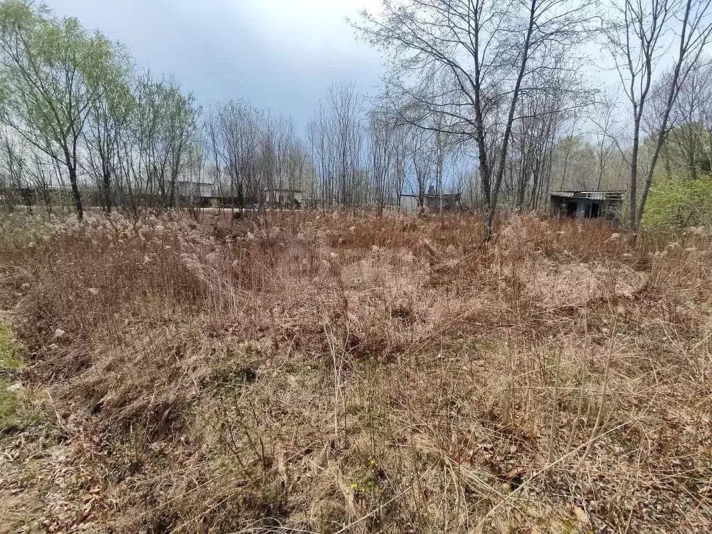 Участок в Приморский край, Надеждинский район, Земляничка-3 СНТ ул. ... - Фото 0