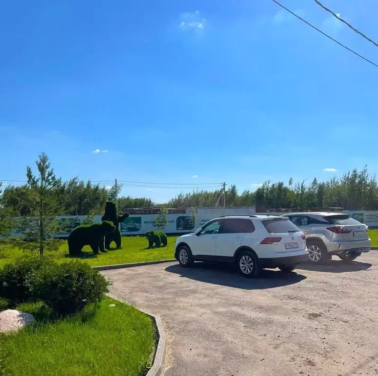 Участок в Московская область, Раменский муниципальный округ, Фенино ... - Фото 2