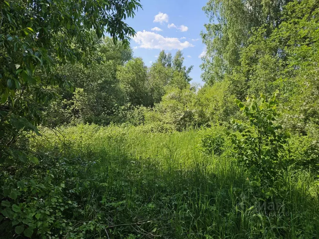 Участок в Московская область, Клин городской округ, д. Мужево ул. ... - Фото 2
