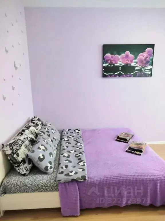 1-к кв. Московская область, Истра муниципальный округ, д. Черная ул. ... - Фото 2