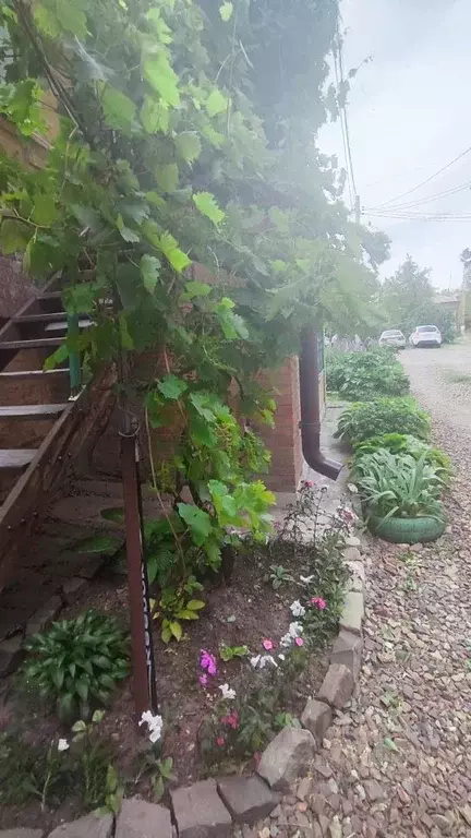 2-к кв. Ростовская область, Новочеркасск Комитетская ул. (30.0 м) - Фото 1