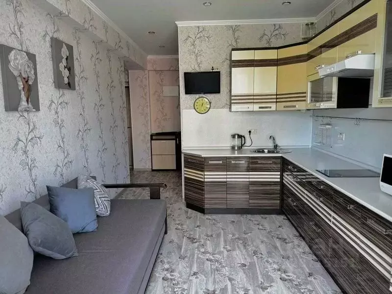 1-к кв. Краснодарский край, Сочи городской округ, Дагомыс пгт ул. ... - Фото 2