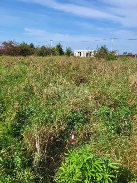 Участок в Калининградская область, Гурьевский муниципальный округ, ... - Фото 1